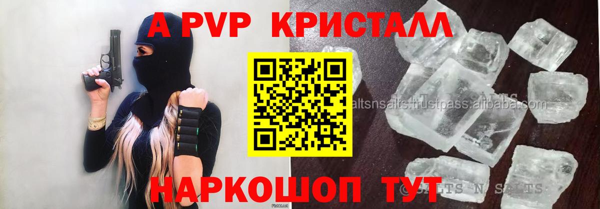 Альфа ПВП СК Санкт-Петербург