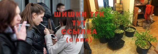 соль ск Алексин