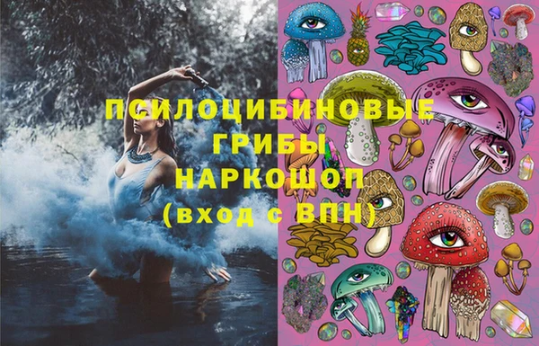 гидропоника Алзамай