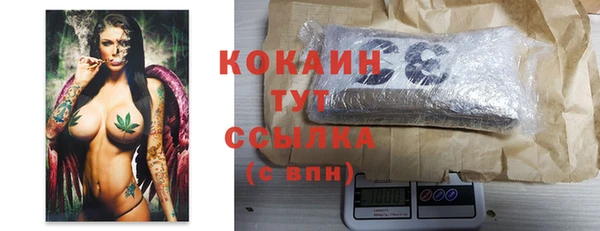 соль ск Алексин