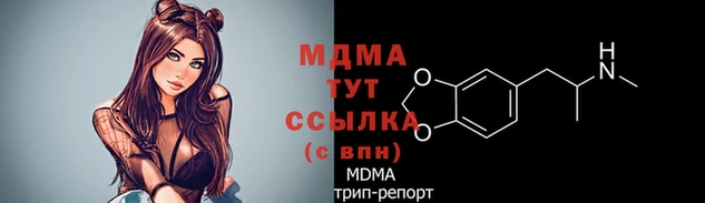 гидропоника Алзамай