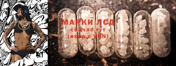 гидра Покачи