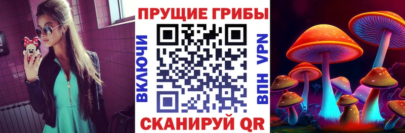 Псилоцибиновые грибы Magic Shrooms  хочу   Санкт-Петербург 