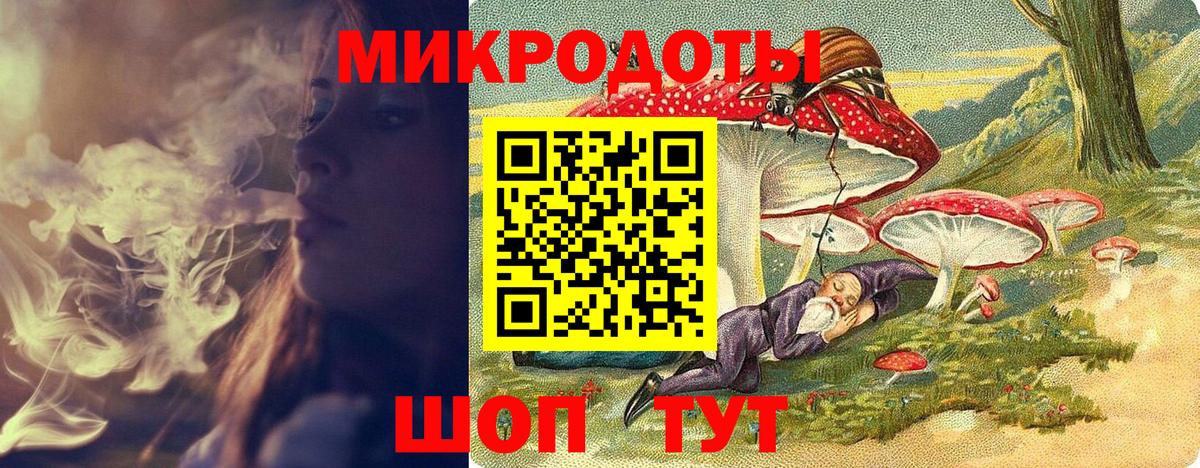 Галлюциногенные грибы Psilocybine cubensis Санкт-Петербург