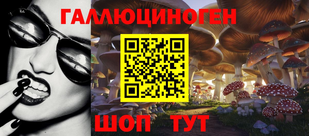 Псилоцибиновые грибы мухоморы  Вход с VPN  Санкт-Петербург  Псилоцибиновые грибы GOLDEN TEACHER 