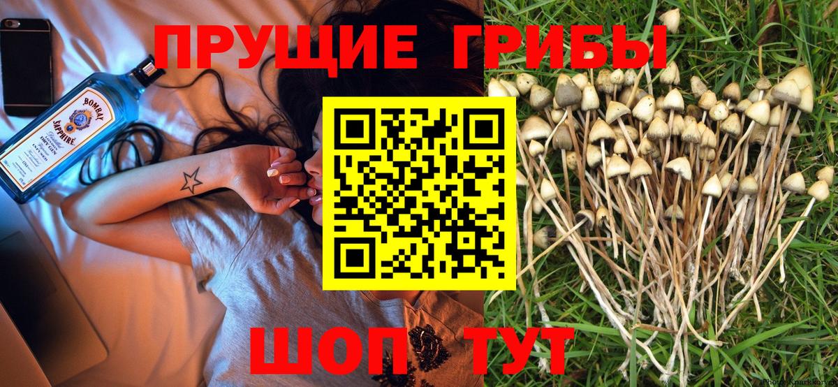 КОКАИН  Вход с VPN  Гашиш  Вейп ТГК  МЕФ   Санкт-Петербург  МЕФ  Канабис  ГАШ 